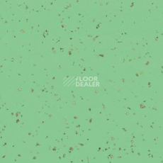 Линолеум Taralay Premium Indiana 4526 Lasia фото 1 | FLOORDEALER